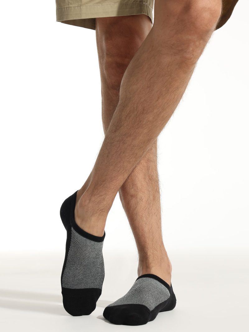 Men's No Show Everyday Colorful Socks