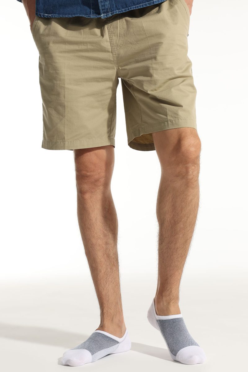 Men's No Show Everyday Colorful Socks